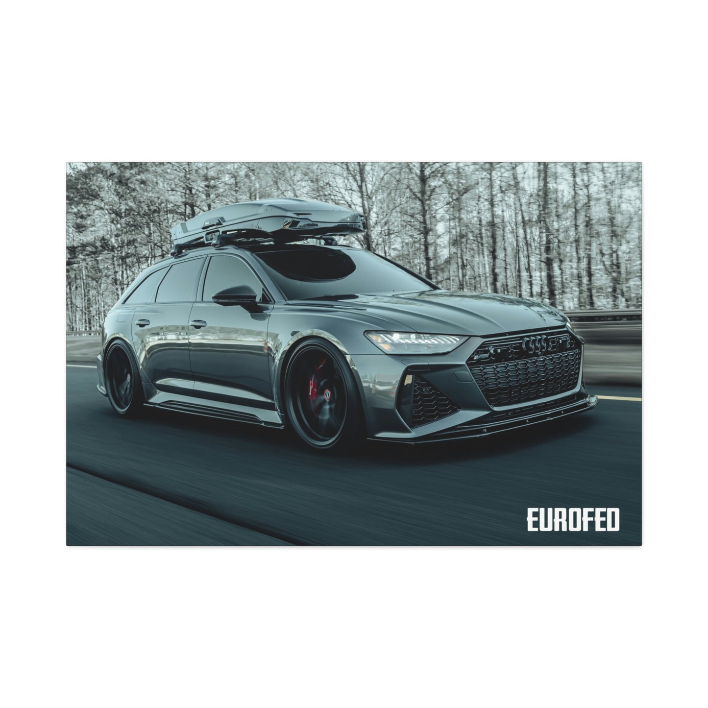 Premium Matte Canvas 48" x 32" | AUDI RS6 Avant |North Georgia
