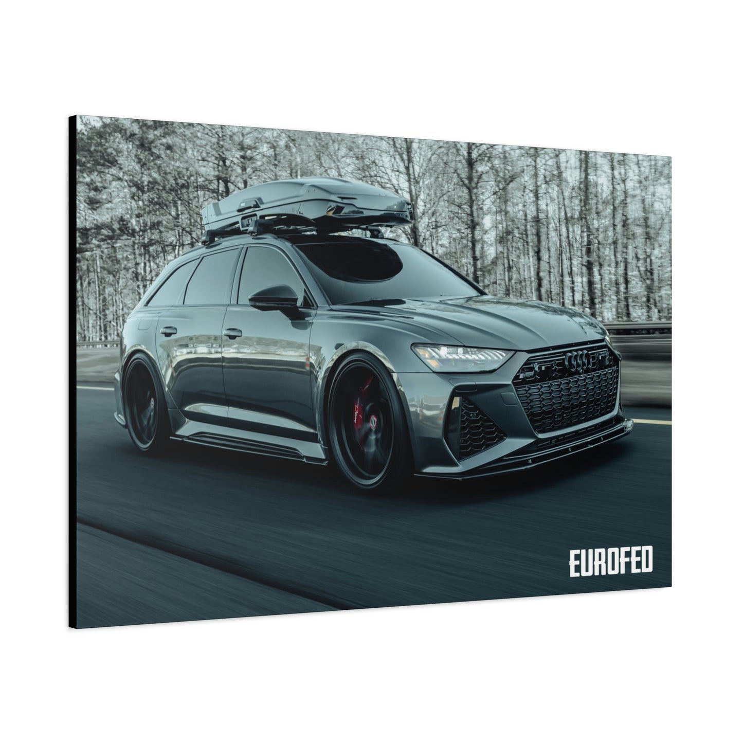 Premium Matte Canvas 48" x 32" | AUDI RS6 Avant |North Georgia